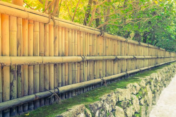 Bamboo Fence Construction
