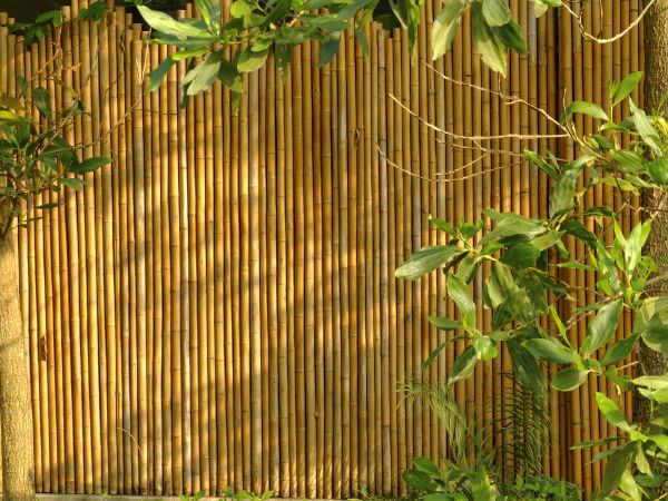 Bamboo Fencing Installation