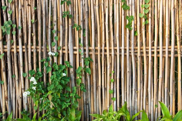 Bamboo Fence Replacement